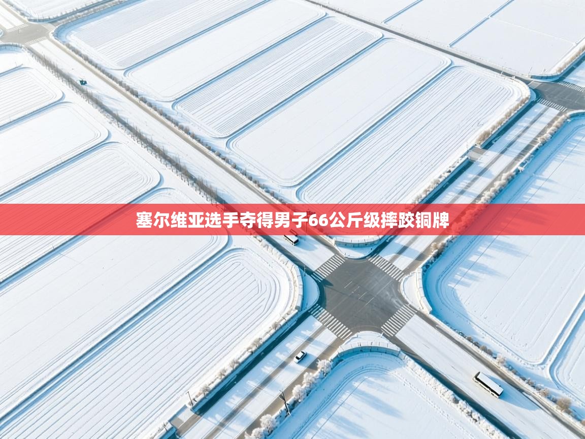 云开体育app官网入口网页版-塞尔维亚选手夺得男子66公斤级摔跤铜牌  第1张