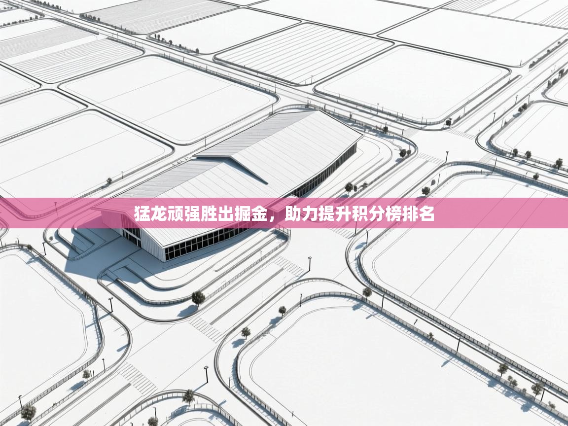 开云体育工单提交入口-猛龙顽强胜出掘金,助力提升积分榜排名 第1张