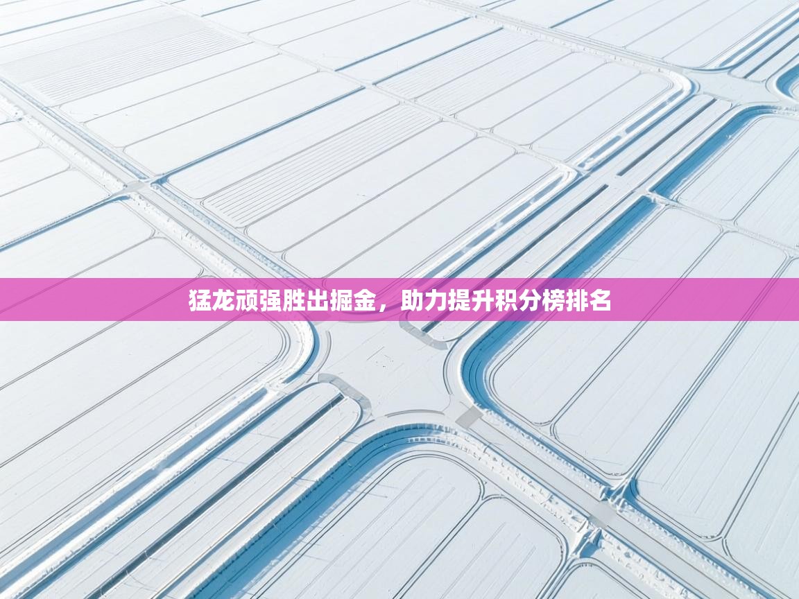 开云体育工单提交入口-猛龙顽强胜出掘金,助力提升积分榜排名 第2张