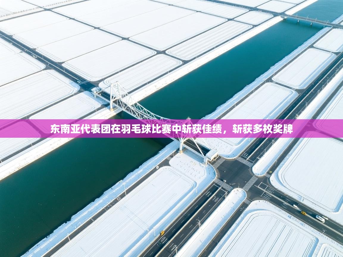 开云体育入口客服-东南亚代表团在羽毛球比赛中斩获佳绩，斩获多枚奖牌