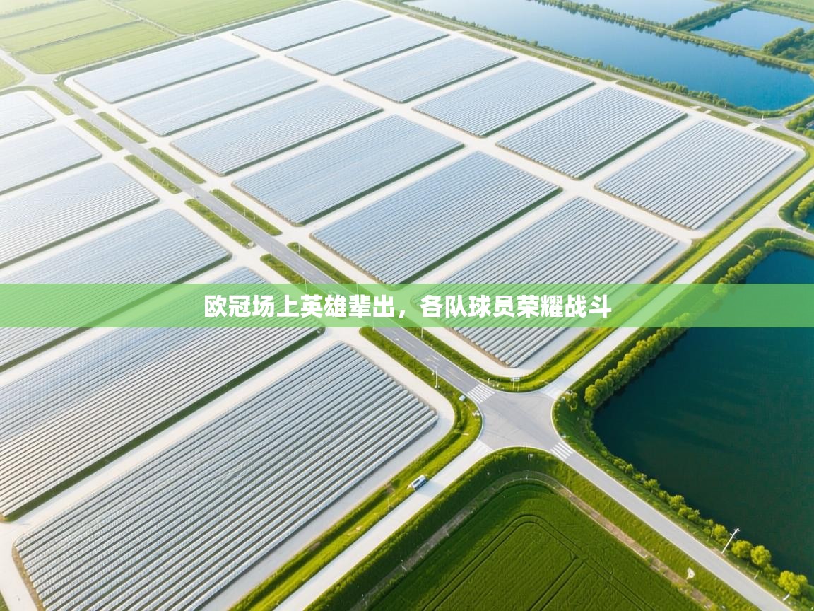 开云体育入口注册-欧冠场上英雄辈出,各队球员荣耀战斗 第2张