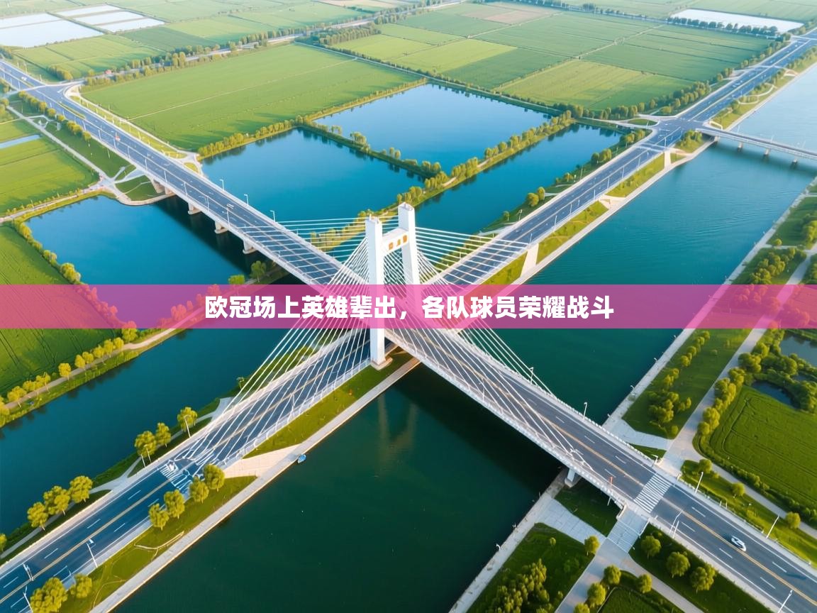 开云体育入口注册-欧冠场上英雄辈出,各队球员荣耀战斗 第4张