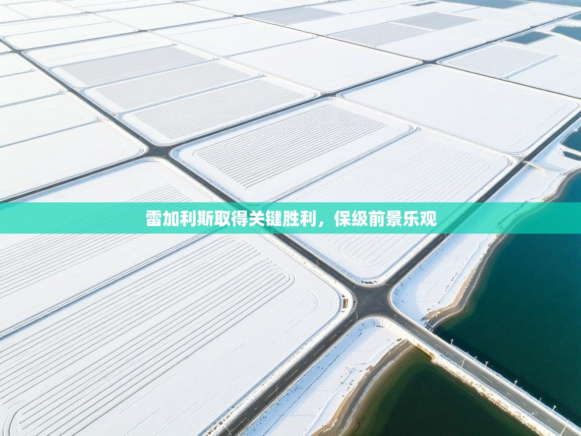 开云官网-雷加利斯取得关键胜利，保级前景乐观